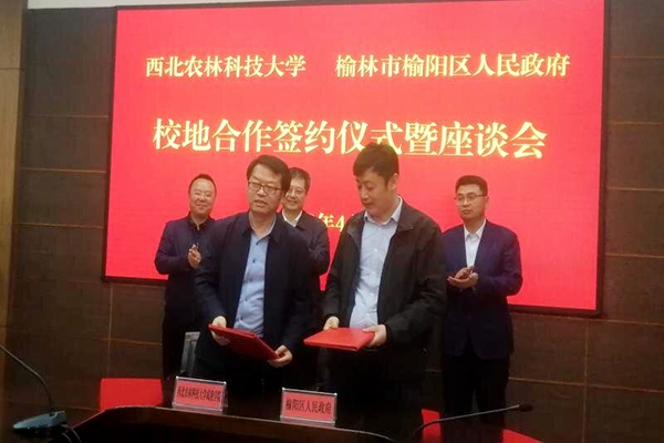 f184db4cff434abdb2d6fdc5071b719f.jpg 11_副本.jpg